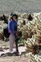 13JoshuaTree - 45